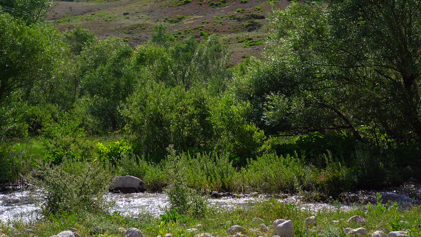 Munzur Gözeleri, Dersim'in muazzam doğasında, Munzur Dağları'nın eteklerinde gizli bir cennet gibi yer alır. Burada doğa, adeta büyülü bir şekilde kendini sergiler. Gözeler, berrak ve soğuk suları ile kalıcı doğaya hayat verir.