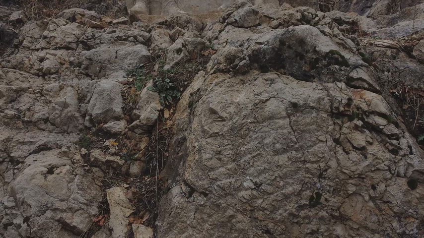 Arsemia Antik Kenti'nde bulunan Herakles (Herkül) ile Kommagene Kralı I. Mithridates'in tokalaşmasını tasvir eden ünlü kaya kabartması. MÖ 1. yüzyıla tarihlenen bu anıtsal rölyef, antik Anadolu'nun en dikkat çekici kaya işçiliği örneklerinden biri olarak kabul edilmektedir.