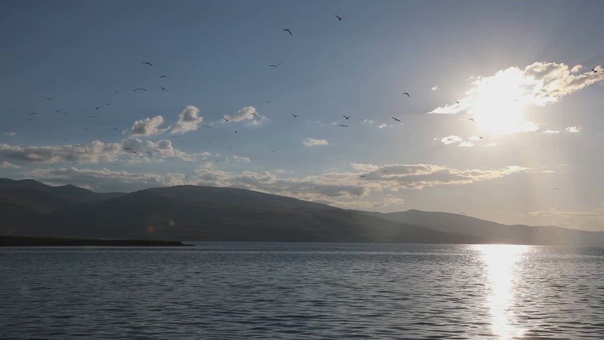 Kura Nehri üzerinde gün batımı sırasında uçan kuşların yer aldığı sinematik doğa videosu.