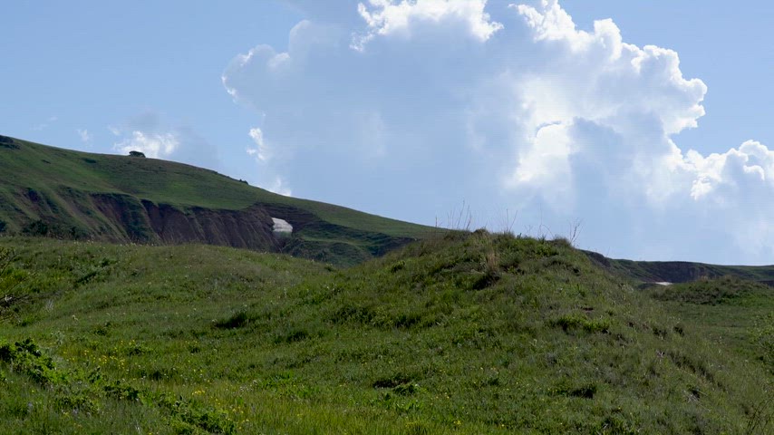 Erzurum yaylasında yeşil çayırlar, yumuşak tepeler ve beyaz bulutlarla bezeli mavi gökyüzünün huzurlu doğal manzarası.