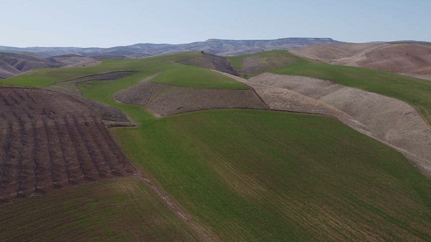 Drone ile Yeşil ve Kahverengi Tarım Tarlalarının Hava Görüntüsü