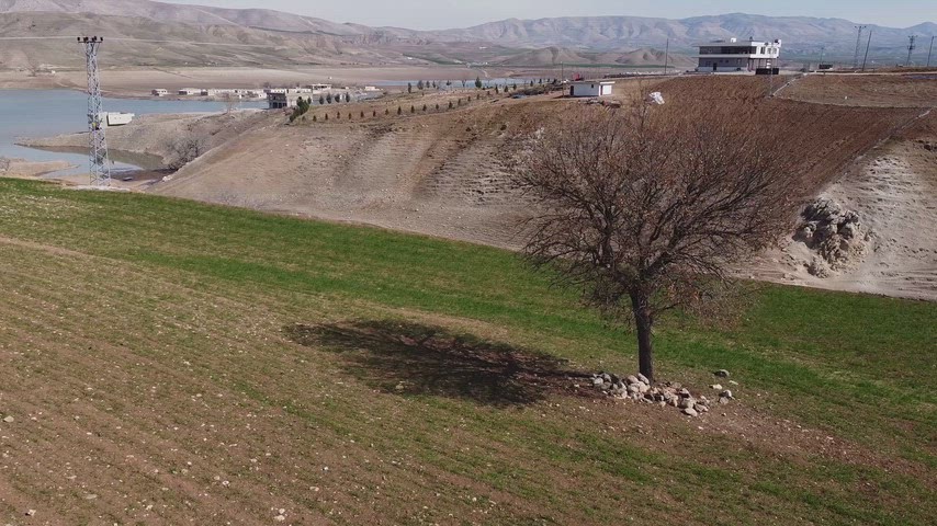 Su Kıyısında Tek Ağaç ve Tarım Arazilerinin Drone Görüntüsü