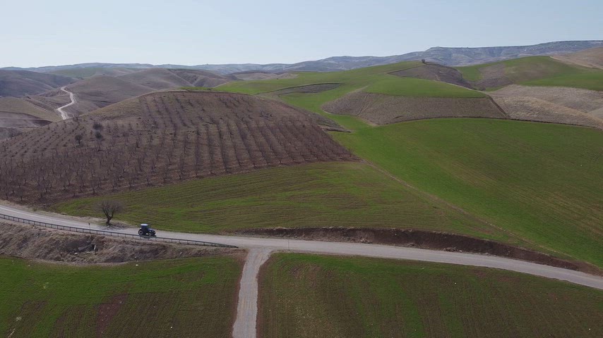 Yeşil Tarlalar ve Dalgalı Tepelerde Tarımsal Peyzaj Manzarası
