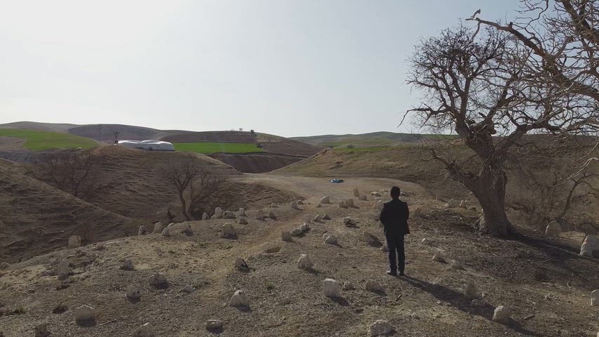 Yaprak Dökmüş Ağacın Gölgesinde Sessiz Mezarlık Manzarası