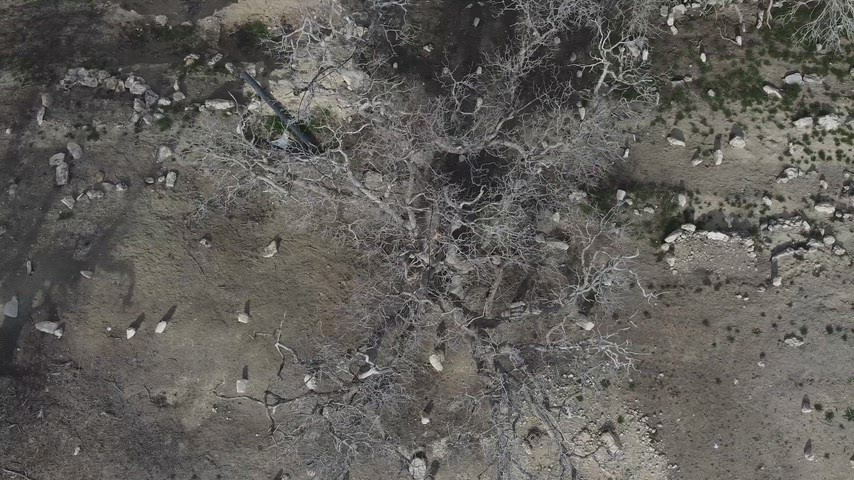 Tarihi Mezarlığın Havadan ve Kuş Bakışı Görünümü