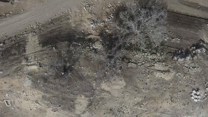 Yaprak Dökmüş Ağaçlarla Çevrili Taş Mezarlığın Havadan Görünümü