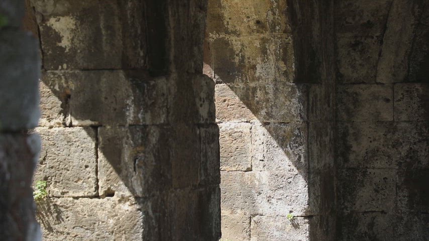 Bitlis İhlasiye Medresesi, tarihi taş kemer, medrese sütunları, Bitlis tarihi yapıları, taş mimari detay, kültürel miras,