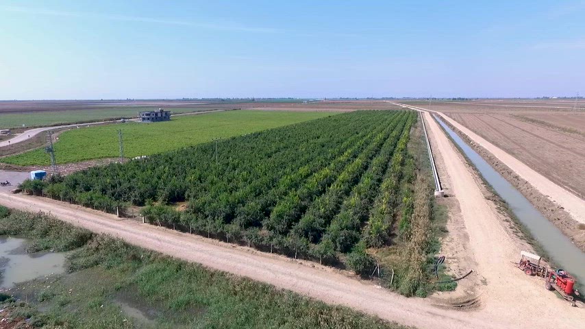 Adana Ovası'nda meyve bahçeleri, tarım arazileri ve sulama kanalının havadan drone ile çekilmiş panoramik stok görüntü