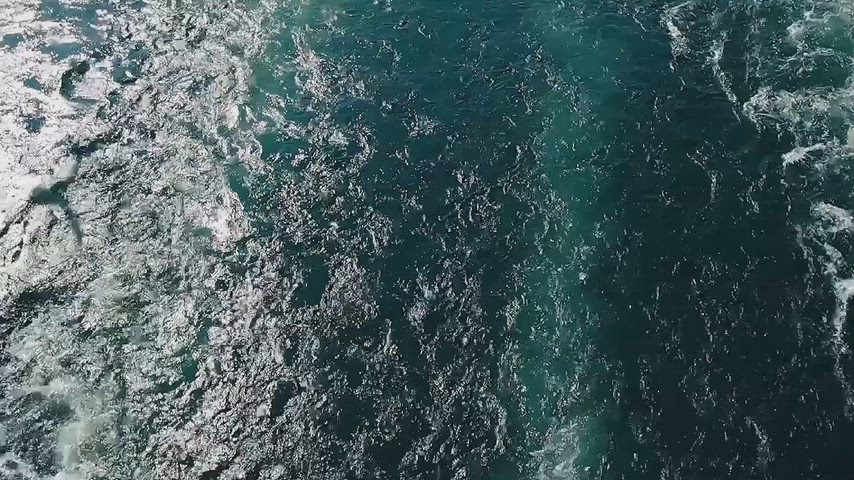 Keban Baraj Gölü üzerinde feribot yolculuğunda uçan martının doğal görüntüsü.