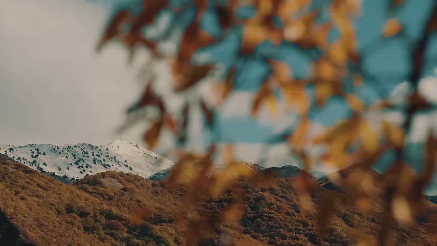 Dersim'de sonbahar yaprakları arasından görülen karlı dağların doğal manzarası.
