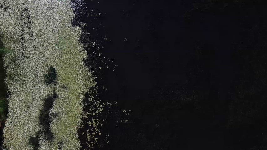 Dersim'deki Xızır Gölü'nün drone ile tepeden çekilmiş soyut ve sinematik doğa görüntüsü.