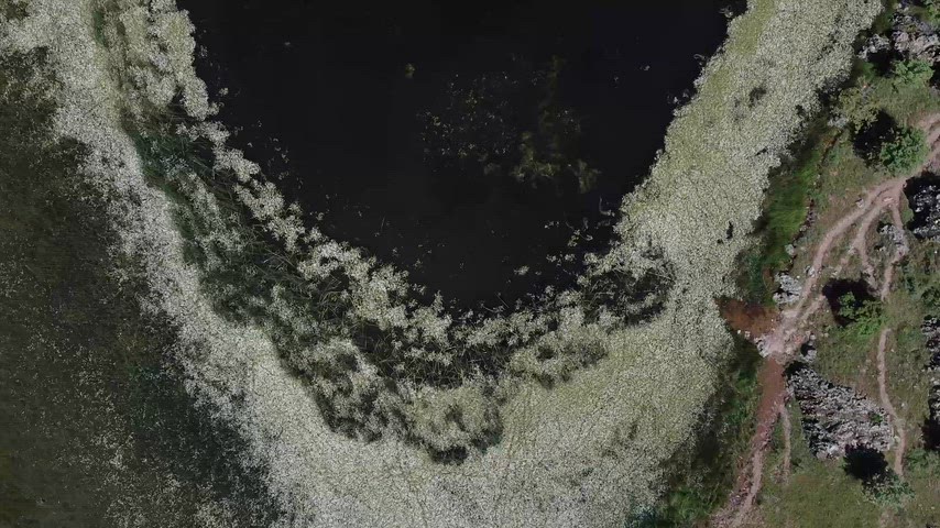 Dersim'deki Xızır Gölü'nün kuş bakışı drone görüntüsü, sulak alan dokusunu ve doğal peyzajını sinematik şekilde gösteriyor.