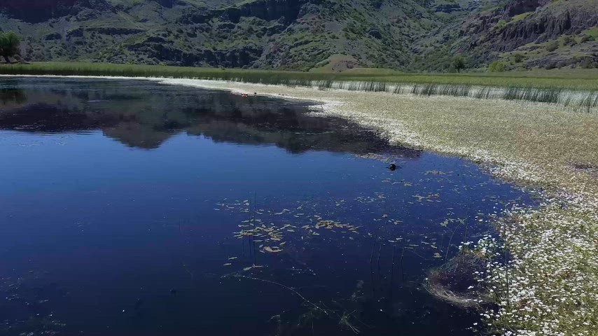 Dersim Xızır Gölü'nde yaban kuşlarını ve sulak alan ekosistemini gösteren drone görüntüsü.