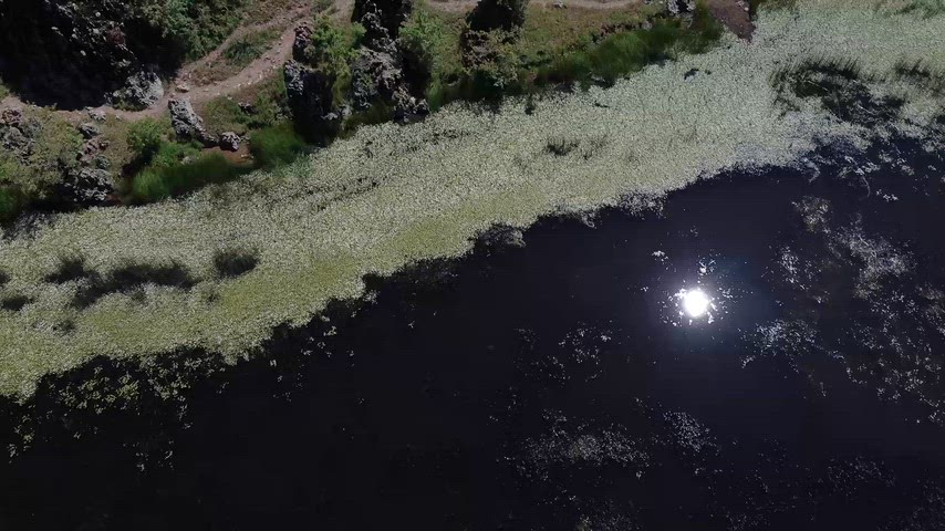 Dersim Xızır Gölü'nün sazlık kıyıları ve doğal sulak alanını gösteren yüksek çözünürlüklü drone hava çekimi.