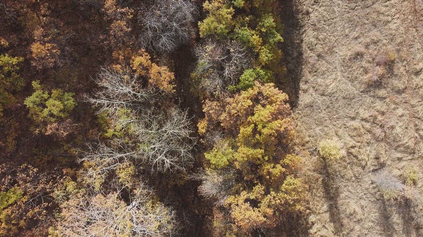 Dersim Pülümür’de sonbahar renklerine bürünen ormanların ve doğal vadilerin yüksek çözünürlüklü drone hava çekimi.