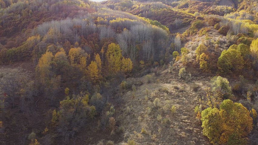 Dersim Pülümür’de sonbahar renklerine bürünen ormanların, vadilerin ve doğal manzaranın yüksek çözünürlüklü drone hava çekimi
