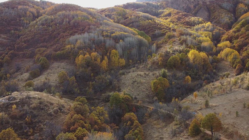 Dersim Pülümür’de sonbahar renklerine bürünen ormanların, vadilerin ve doğal dağ manzarasının yüksek çözünürlüklü drone hava
