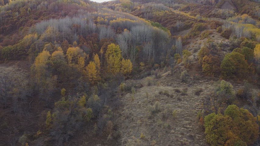 Dersim Pülümür’de sonbahar renklerine bürünen ormanların ve vadilerin yüksek çözünürlüklü drone hava çekimi.