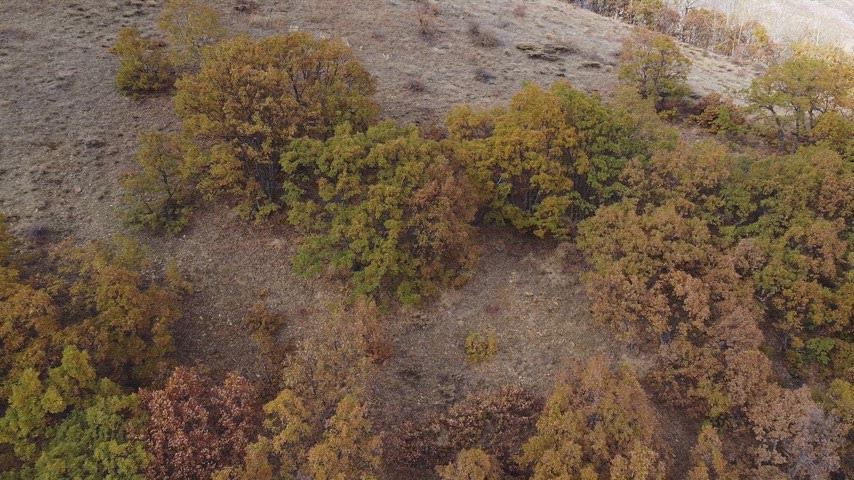 Dersim Pülümür’de sonbahar renklerine bürünen ormanlar ve yamaçların yüksek çözünürlüklü drone hava çekimi.