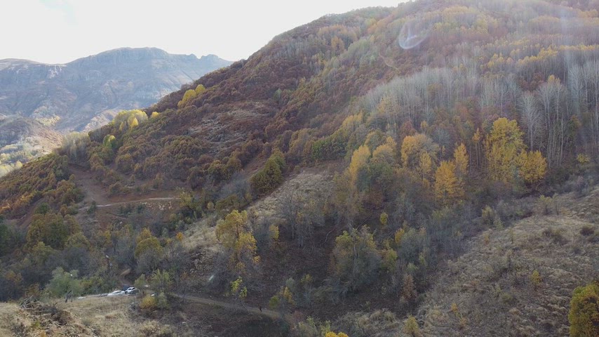 Dersim Pülümür’de sonbahar ormanları, dağ vadisi ve kırsal doğayı gösteren yüksek çözünürlüklü drone hava çekimi.
