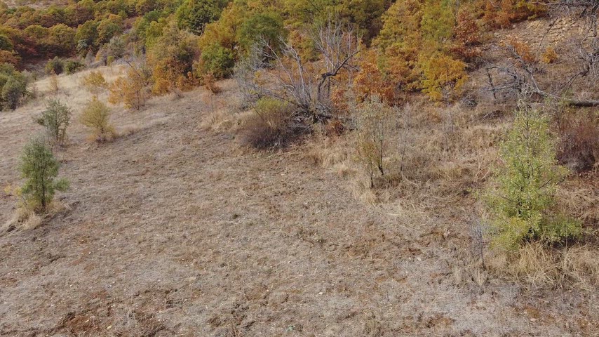 Dersim Pülümür’de sonbahar ormanı, açık vadi ve kırsal doğayı gösteren yüksek çözünürlüklü drone hava çekimi.