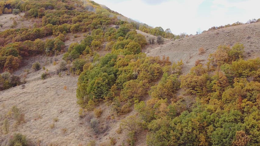 Dersim Pülümür’de sonbahar vadisi, renkli ormanlar ve dağ yamaçlarını gösteren yüksek çözünürlüklü drone hava çekimi.