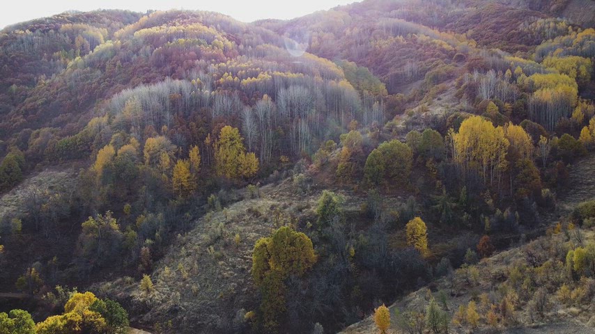 Dersim Pülümür’de sonbahar ormanları, vadiler ve dağ yamaçlarını gösteren yüksek çözünürlüklü drone hava çekimi.