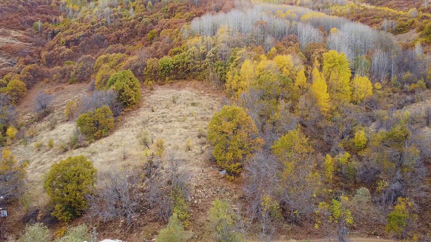 Dersim Pülümür’de sonbahar ormanı, açık vadi ve mevsim renklerini gösteren yüksek çözünürlüklü drone hava çekimi.