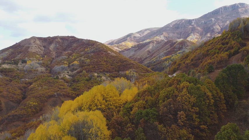Dersim Pülümür dağları ile sonbaharda sararan kavak ormanlarını gösteren yüksek çözünürlüklü drone hava çekimi.
