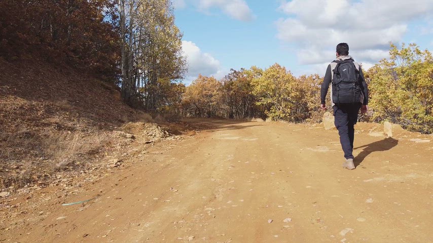 Sonbahar ormanında toprak yolda yürüyen sırt çantalı gezginin etkileyici doğa yürüyüşü görüntüsü.