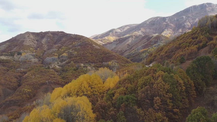 Drone ile çekilen sonbahar dağ vadisi, renkli ormanlar ve doğal peyzajın etkileyici manzara görüntüsü.
