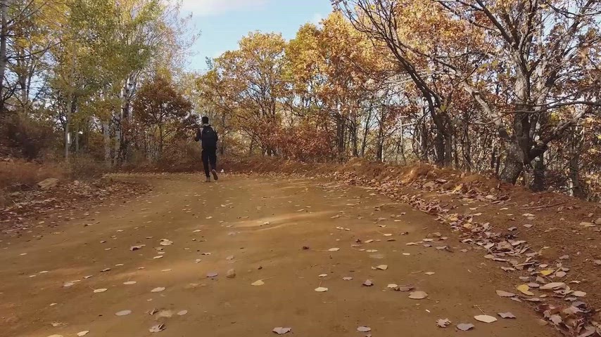Sonbahar orman yolu, yürüyen kişi, toprak yol ve renkli ağaçlarla doğal sonbahar manzarası görüntüsü.