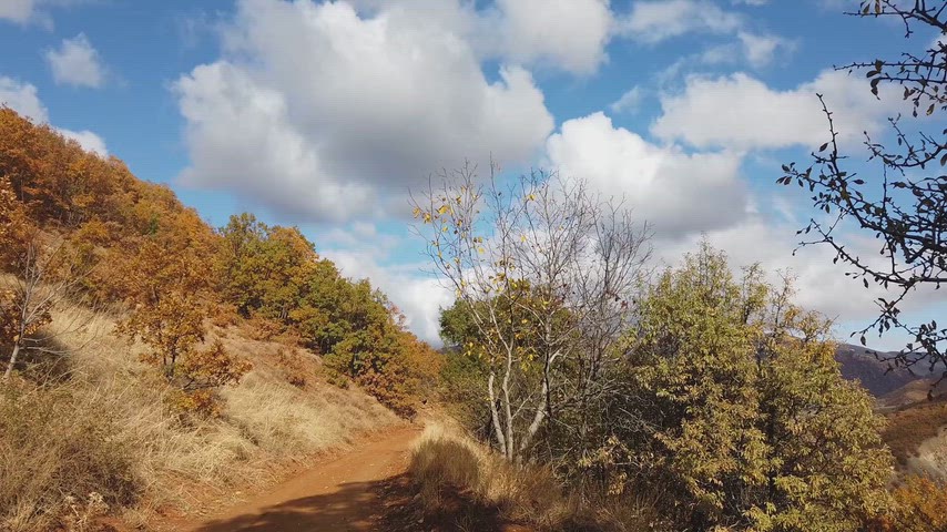 Sonbahar dağ yolu, bulutlu gökyüzü, toprak yol ve renkli ağaçlarla doğal kırsal manzara görüntüsü.
