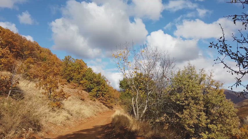 Bulutlu gökyüzü altında sonbahar dağ yolu, toprak yol ve renkli ağaçlarla doğal kırsal manzara görüntüsü.