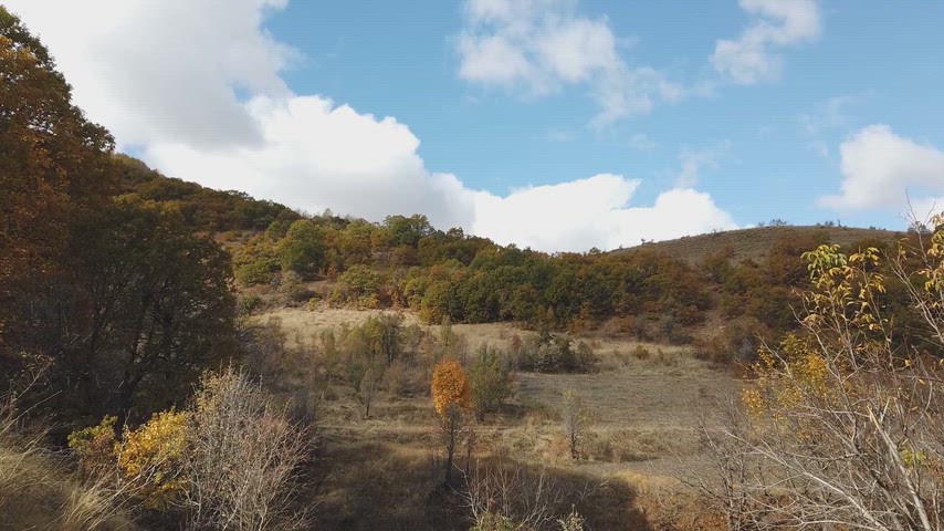 Bulutlu gökyüzü altında sonbahar vadisi, orman manzarası ve doğal kırsal peyzaj görüntüsü.