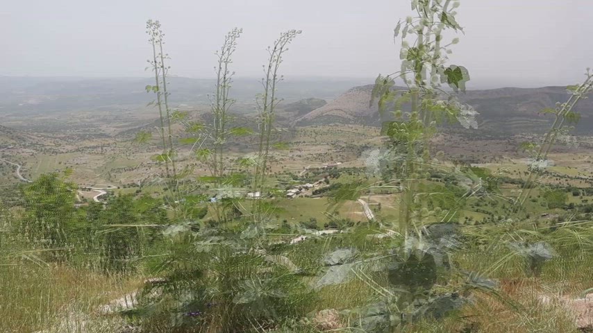 Diyarbakır Lice dağ manzarası, vadi panoraması, kırsal doğa, Anadolu manzarası, seyahat, belgesel