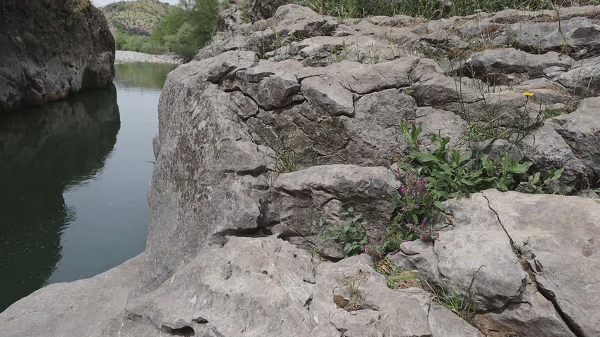 Lice Birkleyn Çayı kayalık kıyısı, sakin su manzarası ve Diyarbakır doğası stok video