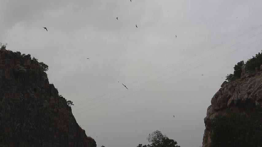 Birkleyn Mağaraları kuş manzarası, Diyarbakır Birkleyn Mağaraları, Lice kanyon manzarası, kayalık kanyon ve kuşlar, Birkleyn