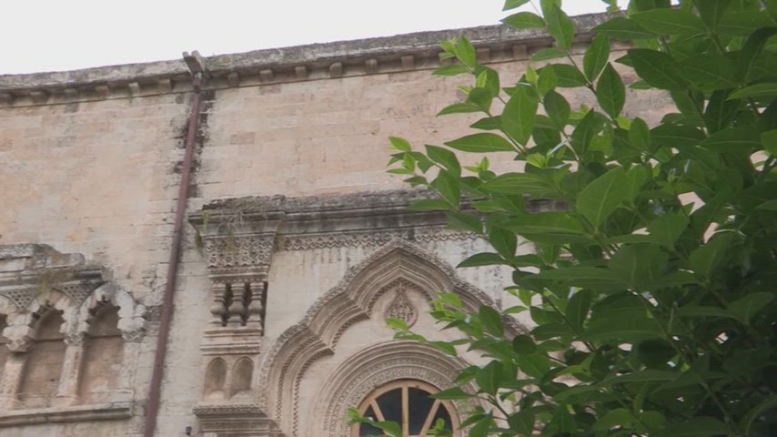 Selahattin Eyyubi Camisi taş cephe süslemeli mimari tarihi cami