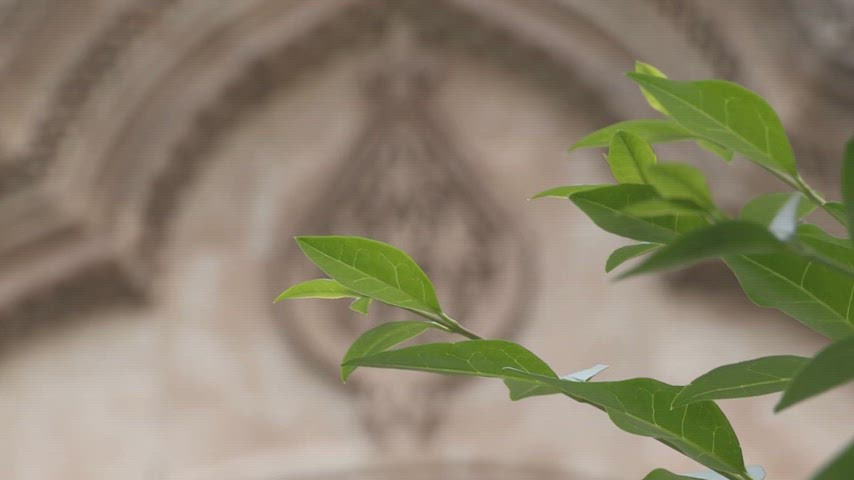 Selahattin Eyyubi Camii taş oyma süsleme tarihi mimari detay