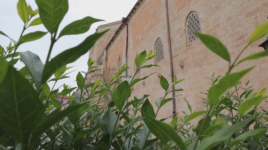 Selahattin Eyyubi Camii dış cephe tarihi taş mimari detay