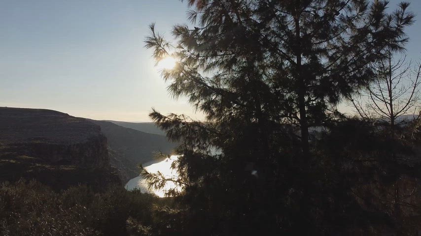 Eğil Baraj Gölü çam ağaçları kanyon drone görüntüsü