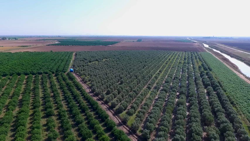 Havadan Adana meyve bahçeleri sulama kanalı ve Çukurova tarım arazileri görüntüsü