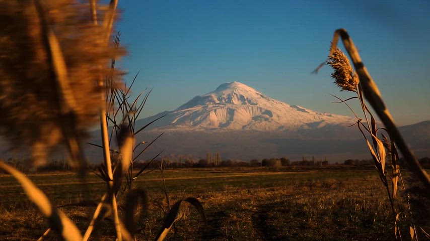 Ağrı Dağı, Iğdır, Doğubayazıt, dağ manzarası, sazlık alan
