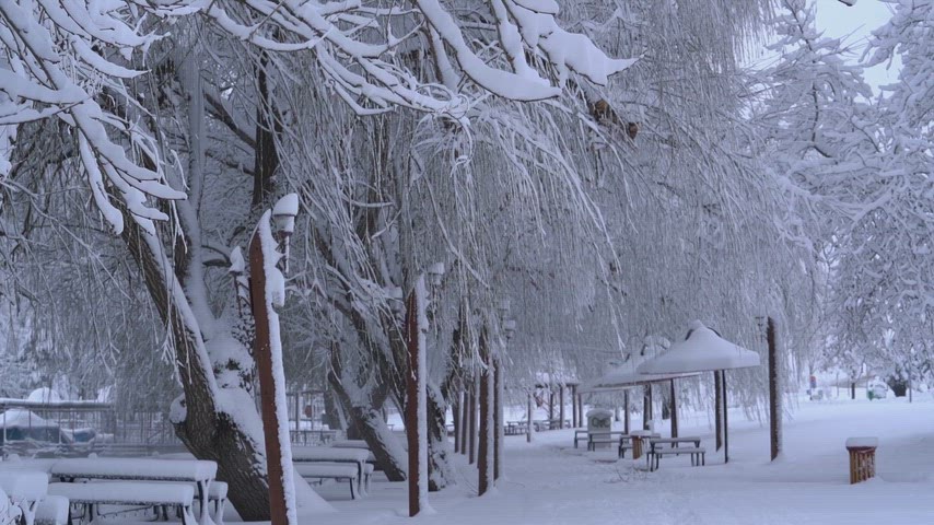 Elbistan kar manzarası, Kahramanmaraş kış, karlı park, karla kaplı ağaçlar, kış manzarası