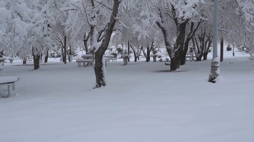 Elbistan Göletli Park, Kahramanmaraş, karlı park, kış manzarası, kar yağışı