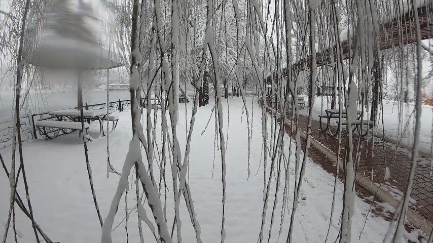 Elbistan karlı park, Elbistan kar manzarası, kış yürüyüşü, karla kaplı ağaçlar, karlı park manzarası