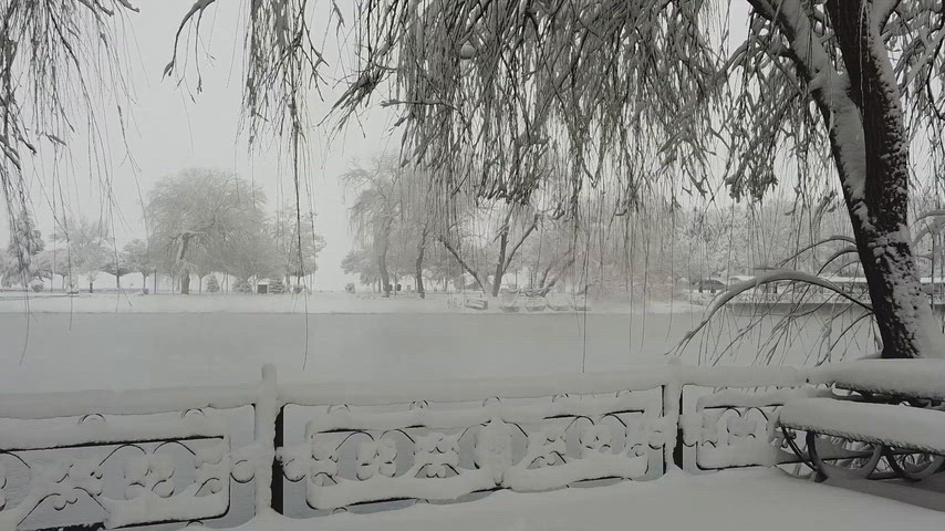 Elbistan kış manzarası, karla kaplı söğüt, göl manzarası, kar manzarası, kış doğası