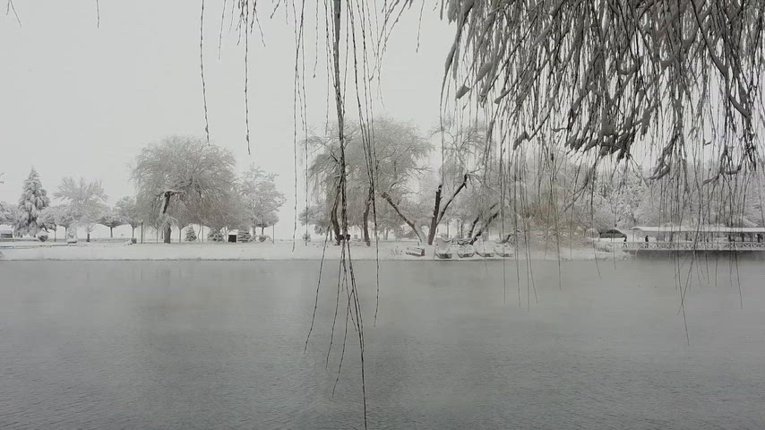 karlı park, donmuş göl, söğüt ağaçları, kış manzarası, kar yağışı, doğa