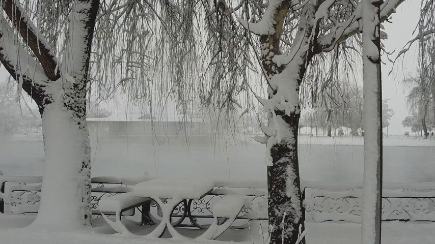 Karlı göl, karla kaplı ağaçlar, kış manzarası, söğüt ağaçları, karlı doğa
